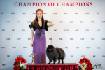 Aristokrat Plus Barry at Champion of Champions Baltic Dog Show 