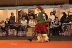 VILISEND UNISON, 23.03.2014, International CACIB Dog Show in Riga